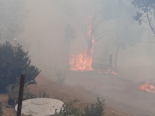 Good Good Fire, property protection
