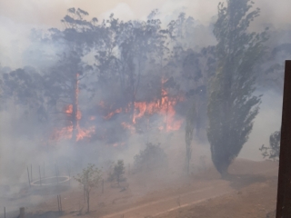 Good Good Fire, property protection