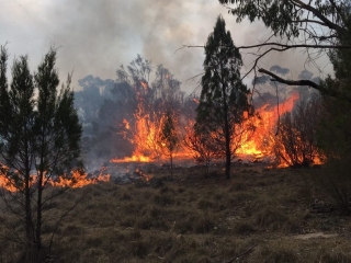 Clear Range Fire, spot over