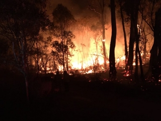 Good Good Fire, Undo fire trail