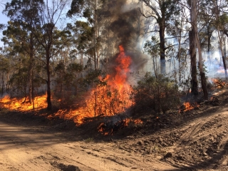 Good Good Fire, containment line burn