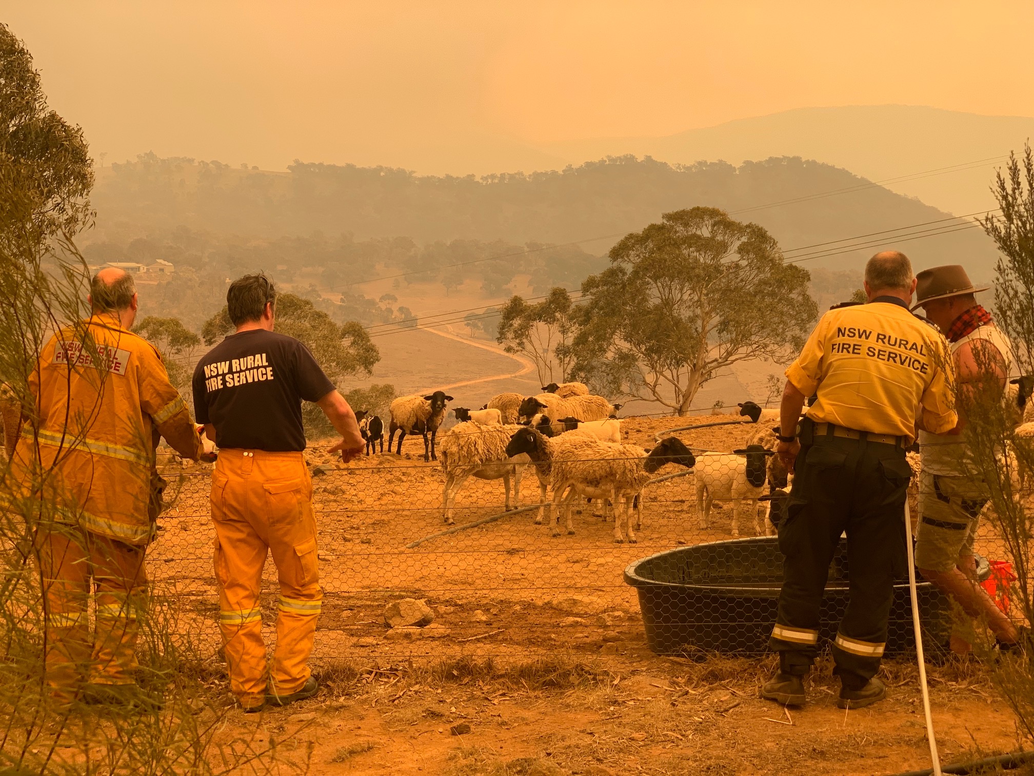 Clear Range Fire, checking on the sheep