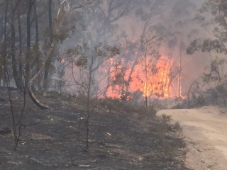 Good Good Fire, Cowra creek
