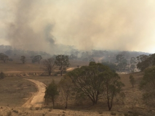 Good Good Fire, Cowra creek