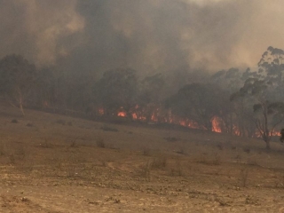 Good Good Fire, Cowra creek